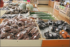 こなんマルシェで販売されている野菜