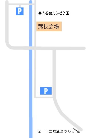 ���c�D���s�b�N���Ӓn�}