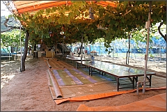大谷観光ぶどう園のテーブル席1