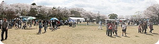 2010年度湖南市さくらまつりの様子