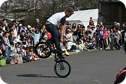 BMX