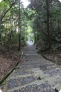 ���ꌧ�Γ�s�@�P�����@�o�蓹