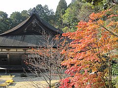 �Γ�O�R�߂���B�ʐ^�͑P�����̍g�t